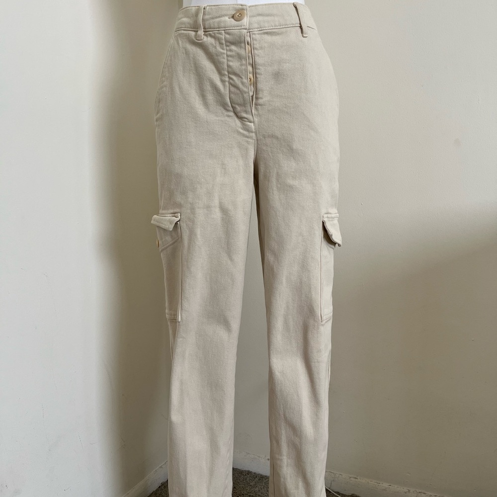 Aritiza cargo pants